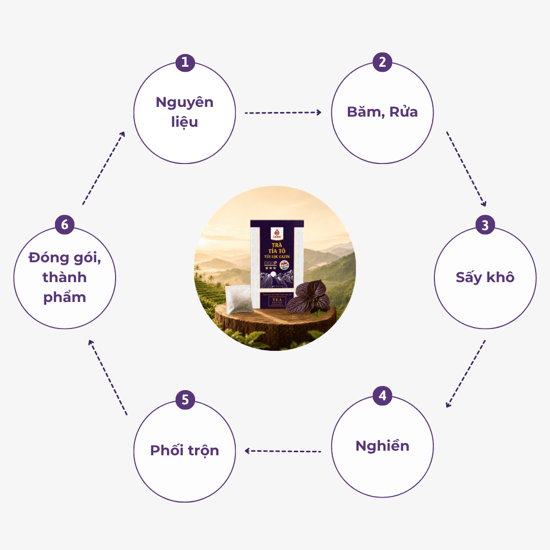 Quy trình sản xuất
