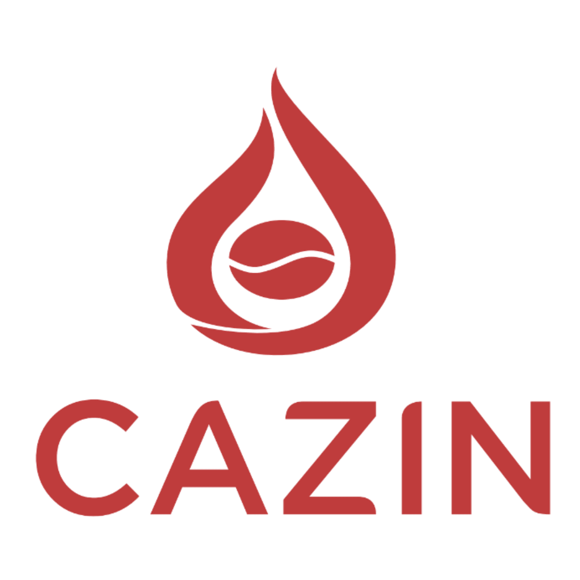 CAZIN Logo